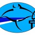 Logo Ti Ai Moana