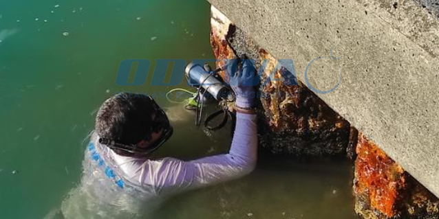 2023-06 – Fakarava 1