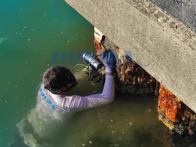 2023-06 – Fakarava 1